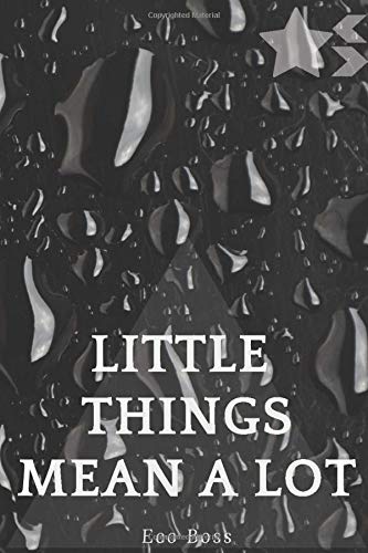 Little Things Mean a Lot: Motivational Notebook, Success, Journal, Diary (110 Pages, Blank, 6 x 9)