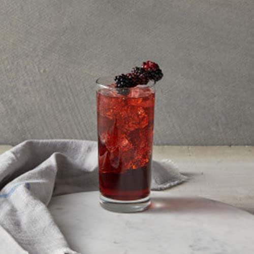 Image of DaVinci Gourmet Classic Blackberry Syrup, 25.4 Fl Oz (Pack of 2)