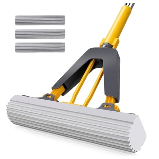 41oP0Fc0oNL._SS520_ Best squeeze mop