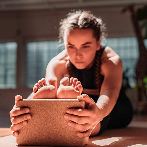 42 Birds 100% Recycled Cork Yoga Block, Sustainable, Eco-Friendly, Non-Slip, Handstand Blocks, Non-Toxic, All-Natural, Premium Cork, Self-Cleaning, 9" X 6" X 4" -1% For The Planet #TOP2