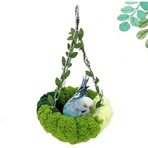 鳥の巣・巣箱 - Amazon.co.jp