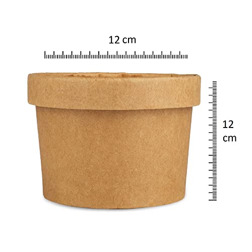 Image of Disposable Thick-Walled Craft Paper Food Container Bowl /Tub with lid, 1000 ml, Pack of 15 - Brown