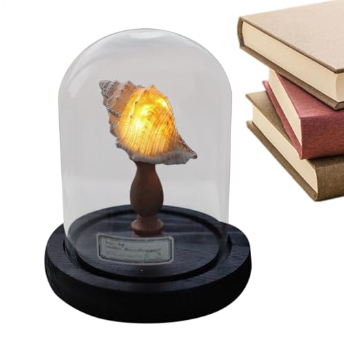 Luz decorativa: Luz nocturna náutica