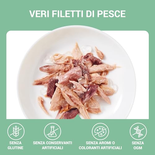 Schesir, Thunfischfilets in Gelee, ergänzendes Nassfutter für Katzen, Originalrezept, 100% natürlich, 12 Beutel à 70 g