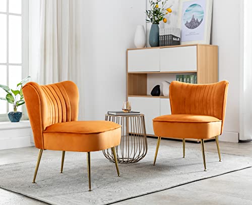 chairus Sillón Relax Tapizado de Terciopelo Silla Individual Moderno con Patas Metálicas Dorado Butaca de Salón Elegante sin Brazos para Dormitorio/Recepción, Naranja - imagen 3