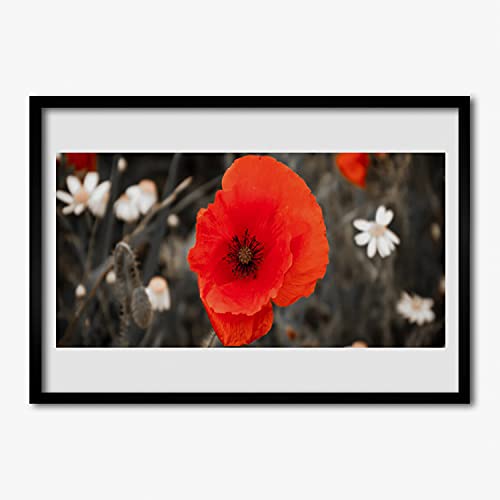 Affiche encadrée murale 70x50 cm salon chambre cuisine cadre en MDF photo de fleur