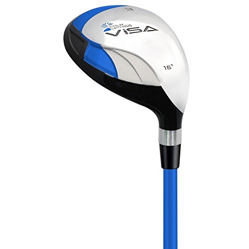 Palm Springs Golf Visa V2 Men's Graphite Club Set & Stand Bag