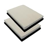 CA8754 Replacement 2 Pack Engine Air Filter for Buick Allure LaCrosse 2005-2009 Regal 1999-2004