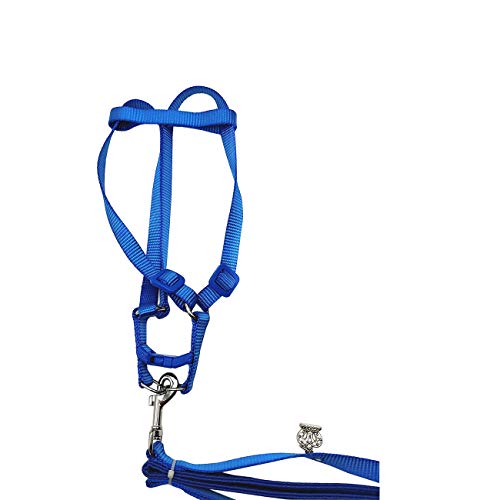 Vogelgeschirr und Leine, Amazonas Kakadu Geschirr sicher verstellbar Nylon Anti-Biss Training Hraness Outdoor Walk für große Vögel Papageien Aras Farbe zufällig (M) Cover