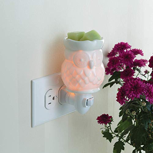 Candle Warmers Etc Pluggable Fragrance Warmer- Decorative Plug-In For Warming Scented Candle Wax Melts And Tarts Or Fragrance Oils, Porcelain Owl #TOP2