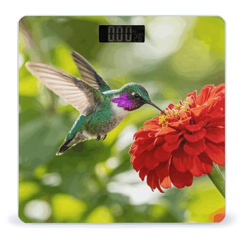 Báscula digital de baño con vidrio templado 10 in x 10 in