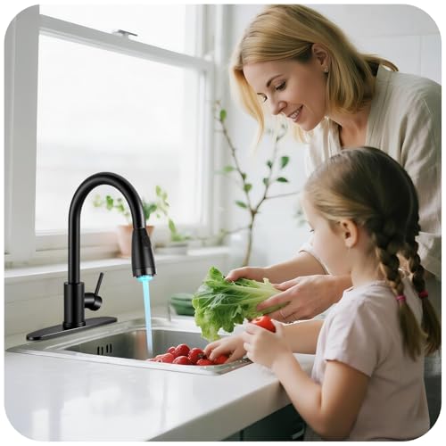 LUFG LED Kitchen Faucet with Pull Down Sprayer - Matte Black Single Handle Kitchen Faucets, High Arc Stainless Steel Pull Out Kitchen Sink Faucet with Deck for RV Laundry Farmhouse Bar