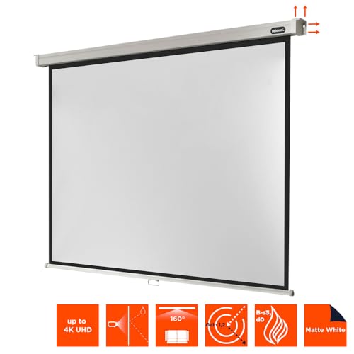 celexon Professional Rollo-Leinwand 115 | 240x180 cm 4:3 | manuell ausziehbare 4K, Full-HD Beamer-Leinwand f&uuml;r das B&uuml;ro oder Heimkino-Projektionen | Wand- & Deckenmontage/zum Aufh&auml;ngen