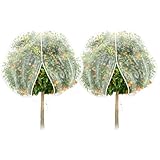 TWOWYHI 2Pack 10×12ft Large Fruit Tree Netting Cover with Zipper Garden Plant Tree Cover Insect Bird Netting for Fruits Vegetables Tree Garden Protection