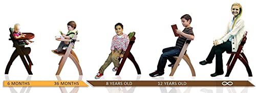 Abiie Beyond Junior Wooden High Chair With Tray (Mahogany Wood/Olive Cushion) And Octopod Bamboo Plates With Suction & Bamboo Bowl With Suction (Green) - High Chair And Bamboo Plates And Bowl Bundle #TOP1