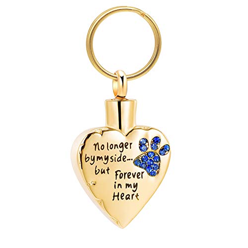 Vjajaly Cremation Jewelry for Ashes No Longer by My Side But Forever in My Heart Stainless Steel Pet Paw Keepsake Pendant Memorial Urn Keychain for Men Women (JL)