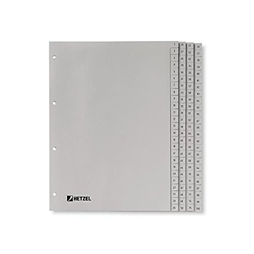 Hetzel Kunststoffregister 721311, 1 bis 100, A4, 110µm, graue Taben, 100-teilig 4013702017616 Hetzel