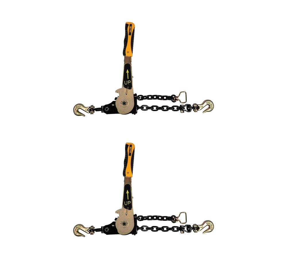 Mytee Ratchet Chain Binder - 4 Pack, 5400 lbs WLL -12