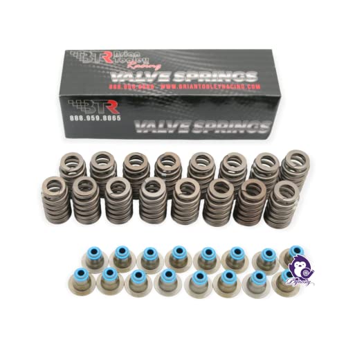 Dynosty BTR TRUCK NORRIS Cam Kit with Pushrods Delphi Lifters, Trays, Head Gaskets LS 4.8 5.3 by Dynosty - Image 3