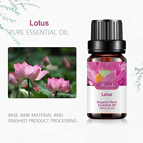 Miyuki Lotus & 2Pack Lotus Essential Oils Organic Plant & Natural 100% Pure Therapeutic Grade Lotus Aromatherapy Oil For Diffuser, Humidifier, Massage, Sleep, Bath, Spa, Skin & Hair Care-3X10Ml #TOP5