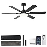 NKPU 56 Inch Ceiling Fans with Lights, Modern Black Ceiling Fan with Light and Remote Control, 6 Double Sided Blades, 6 Speed Reversible Motor, Dimmable LED, Silent Timing, Indoor Outdoor Patio Use