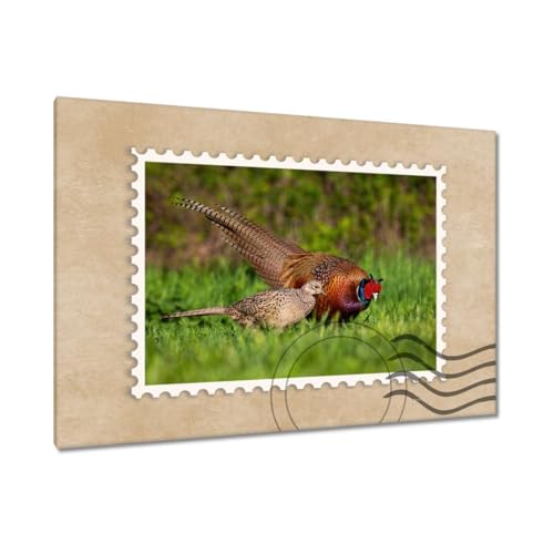 Peinture imprimée sur toile grand format tableau oiseau de forêt