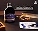 Octopus Fluids Füllhaltertinte im Tintenglas inklusive Konverter, Schreibtinte für Füllhalter, Füllertinte in Königsblau löschbar 30ml mit Tintenkonverter