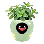 OUSEITECH Upgraded Large Smart Pet Flower Pot, Planting Assistant With Lively Expressions For Plants To Converse With You, Various plant care data, Moisture/Soil/Light/Temperature Monitoring