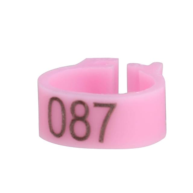 Foto 2 de 8 de Anillos para Patas de Aves, Resistentes y Reutilizables, Bandas plásticas para Pollos Patos y gallinas