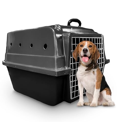 Caixa de Transporte Cachorro Cães Porte Médio Rafapet (Cinza)