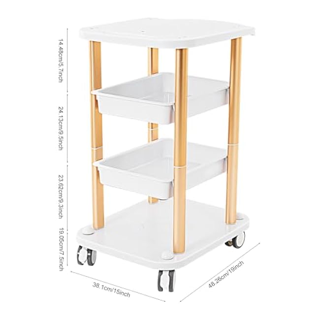 4-Tier Beauty Trolley Cart with Wheels, Rolling Utility Cart with Handrail for Salon Spa Nail Home Office Hospital Dental Clinic Lab Storage & Organizer-0JuU2Q19