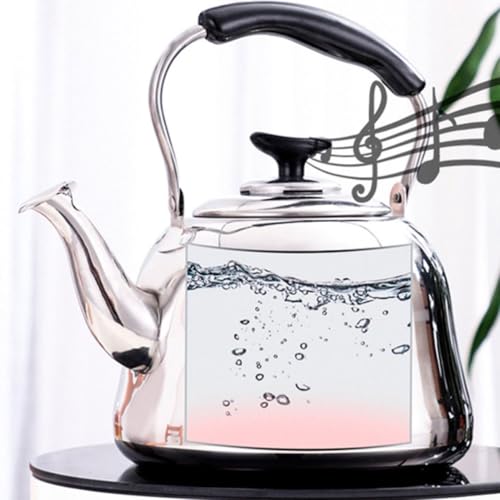 Hervidor de agua facil de almacenar de 6l en acero inoxidable para tu hogar 8