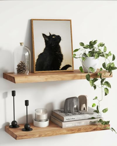 Image of ARPEOTCY Vintage Framed Canvas Wall Art, 12x16inch, Farmhouse Black Cat Wall Decor, Animal Art Prints Home Decorations, Cottagecore Paintings for Living Room Bedroom Office Decor