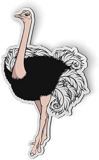 Ostrich - 5" Magnet for Car Locker Refrigerator