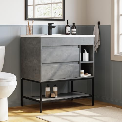DELUXE LIVING 30 Inch Bathroom Vanity with Sink, Single Sink Bathroom Vanity with SMC Sink, Bathroom Sink Cabinet with 2 Drawers & 3 Open Shelves, Bathroom Sink Vanity, Adjustable Feets, Grey