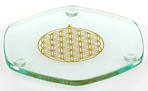 Energy Plate 9 cm