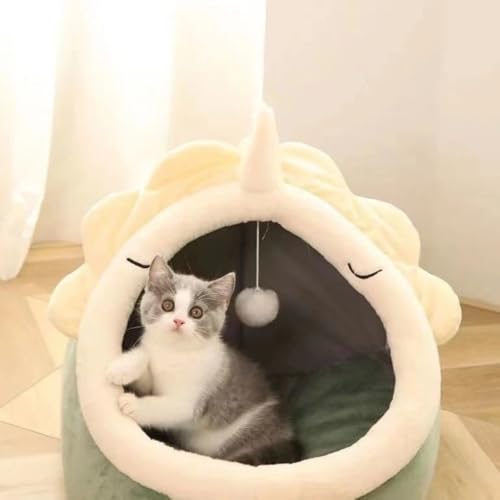 L nEX h[^ ybgLQ^ LbgnEX ʋCybg nEX ɒʗp sN (B,S)