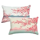 【DÉCORATION D'INTÉRIEUR ET CADEAUX】: ces housses de coussin en velours apportent une touche élégante et chaleureuse à n'importe quel espace. Elles sont parfaites pour les canapés, les fauteuils, les lits, les jardins et les voitures. Adaptées à une utilisation intérieure comme extérieure, elles constituent un cadeau idéal pour vos amis, collègues et votre famille
