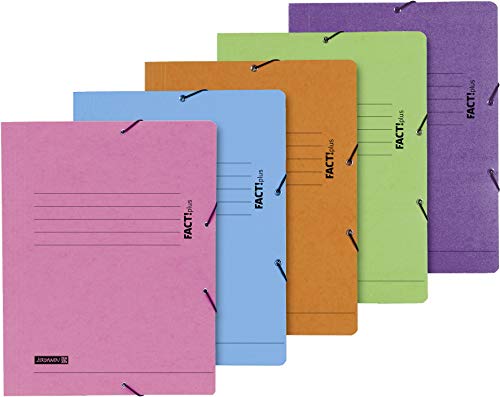 1 Sammelmappe FACT! mit Gummizug Trend farblich sortiert