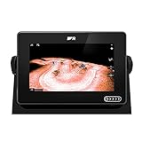 Sondor CHIRP integrado, DownVision, SideVision, RealVision 3D