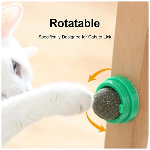 Potaroma 12Pcs Natural Silvervine Sticks Catnip Sticks, Catmint