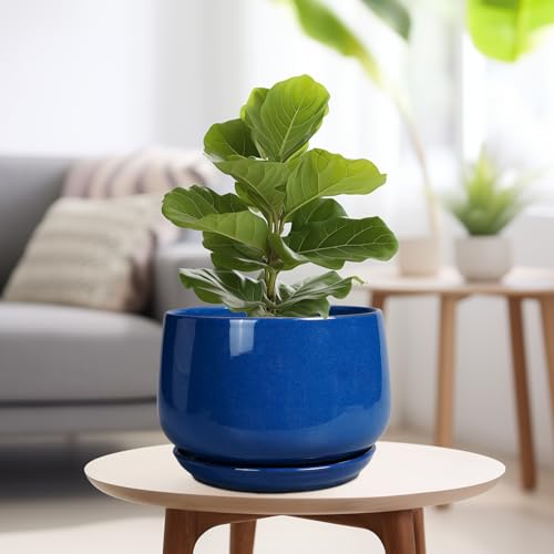 G EPGardening Ceramic Pots for Plants, 9 Inch Modern Round Planter with Drainage and Tray Indoor Outdoor for Flower, Patio Decor, Housewarming Gifts, Blue by G EPGardening - Image 4
