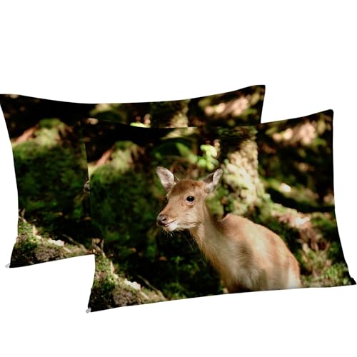 Housse de couette 220x240 antilope jaune en microfibre douce avec zip