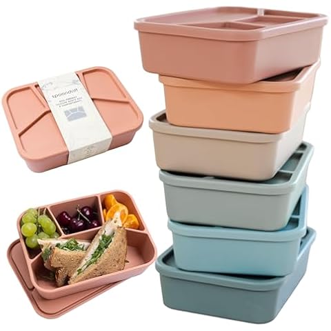 Spoondrift 100% Food Grade Eco-Friendly Leak-Proof Silicone Bento Box Lunchbox, Microwave Safe | For Child And Adult, 4 Compartment, Choose from 6 Colors, Includes 1 Box (Terracotta) Cover