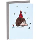 Hallmark Shoebox Funny Birthday Card (Hedgehog)