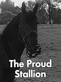 Proud Stallion, The