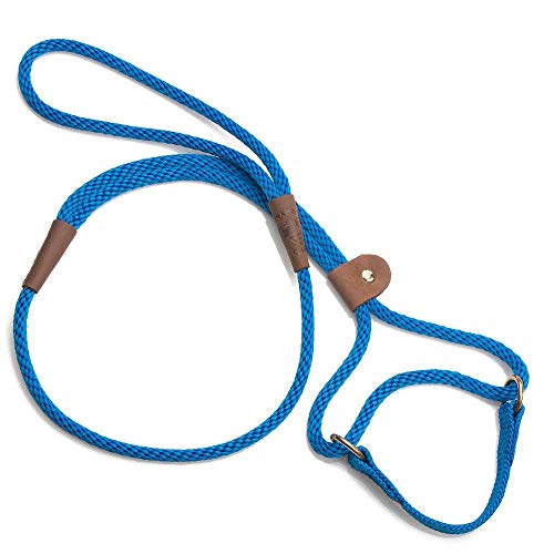 Mendota Pet Dog Walker, Martingale Style Leash - Leash & Collar Combo, Made in The USA - Blue, 3/8 in x 4 ft - for Small/Medium Breeds