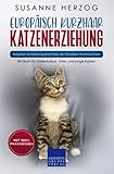 Europäisch Kurzhaar Katzenerziehung - Ratgeber zur Erziehung einer Katze der Europäisch Kurzhaar Rasse: Ein Buch für Katzenbabys, Kitten und junge Katzen