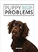 Puppy Problems: The Dogs-Eye View on Tackling Puppy Problems