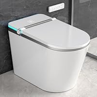 HYGINA ADA Comfort Height Elongated Smart One-Piece Toilet with Built-in Bidet
